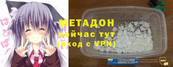 индика Вяземский