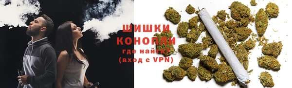 PSILOCYBIN Вязники