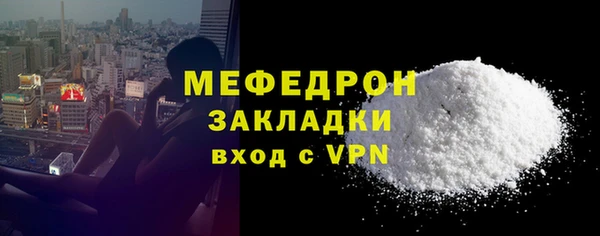 индика Вяземский
