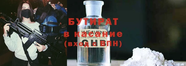 индика Вяземский