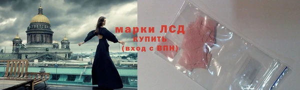 индика Вяземский