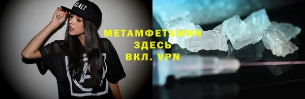 индика Вяземский