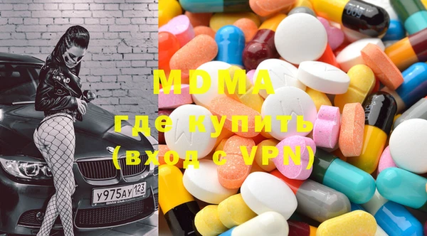 индика Вяземский