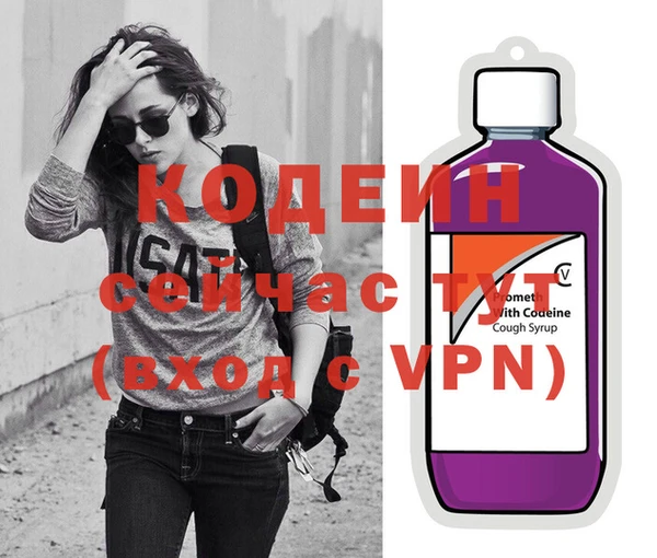 индика Вяземский