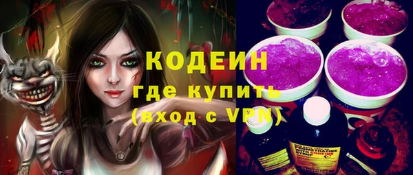 индика Вяземский