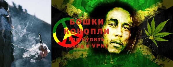 индика Вяземский