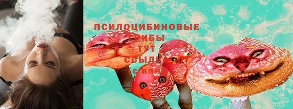 PSILOCYBIN Вязники