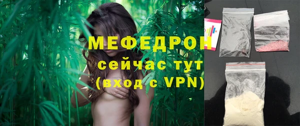 индика Вяземский