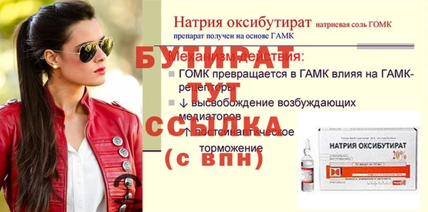 индика Вяземский