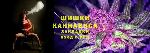 индика Вяземский