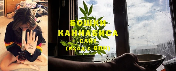 индика Вяземский
