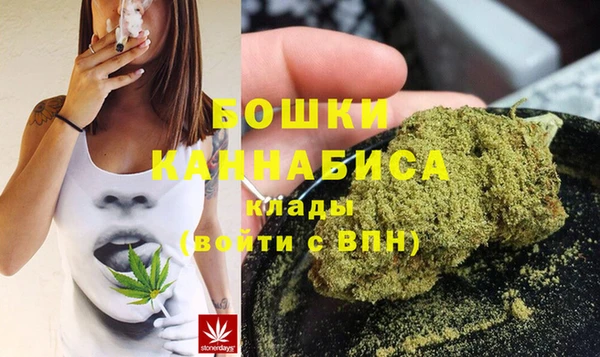 PSILOCYBIN Вязники