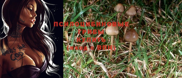 PSILOCYBIN Вязники